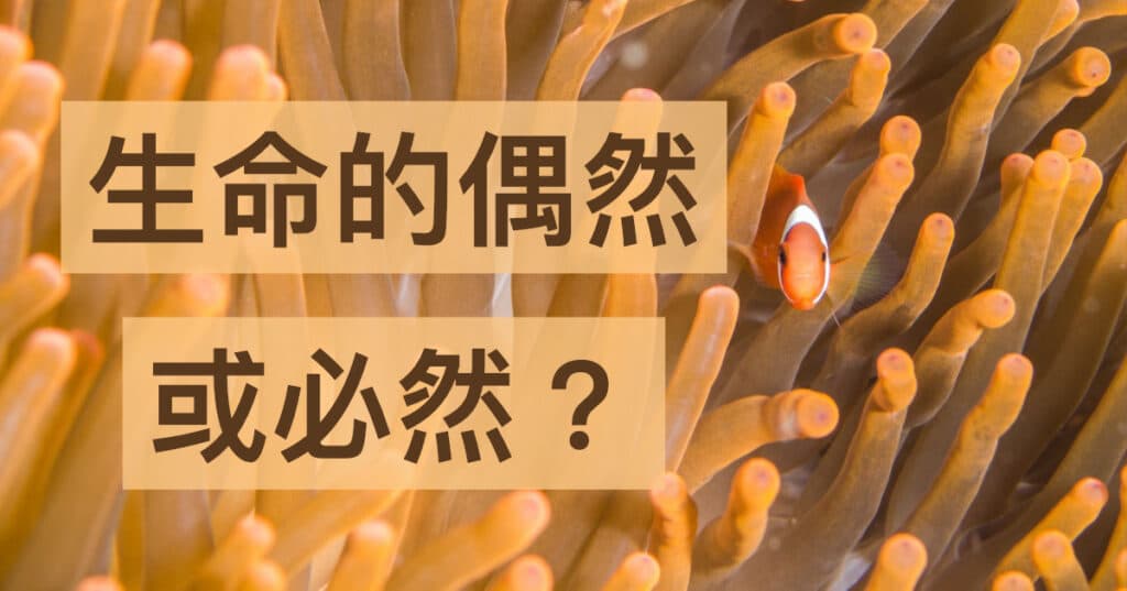 20181217 flowstateblog