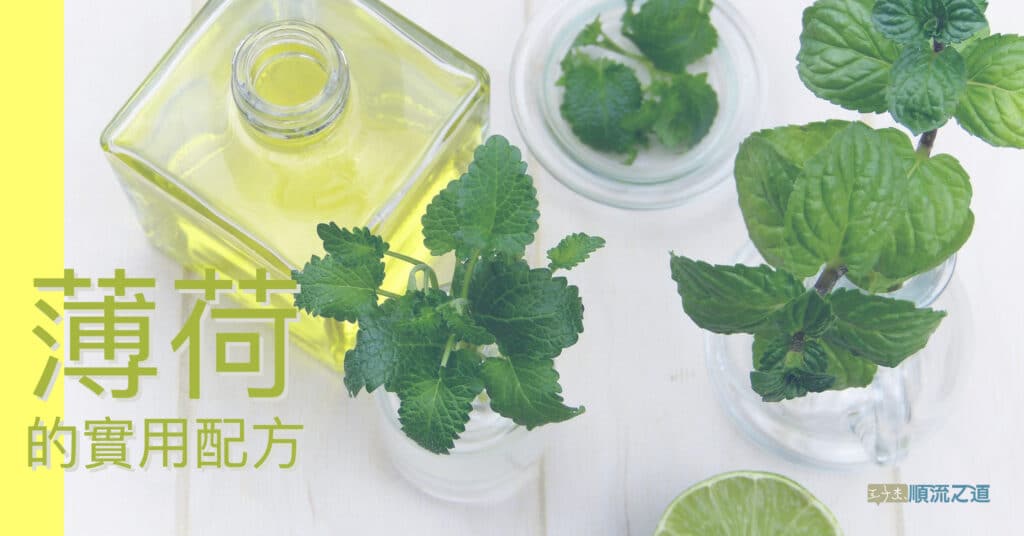 201905fystore mint appl